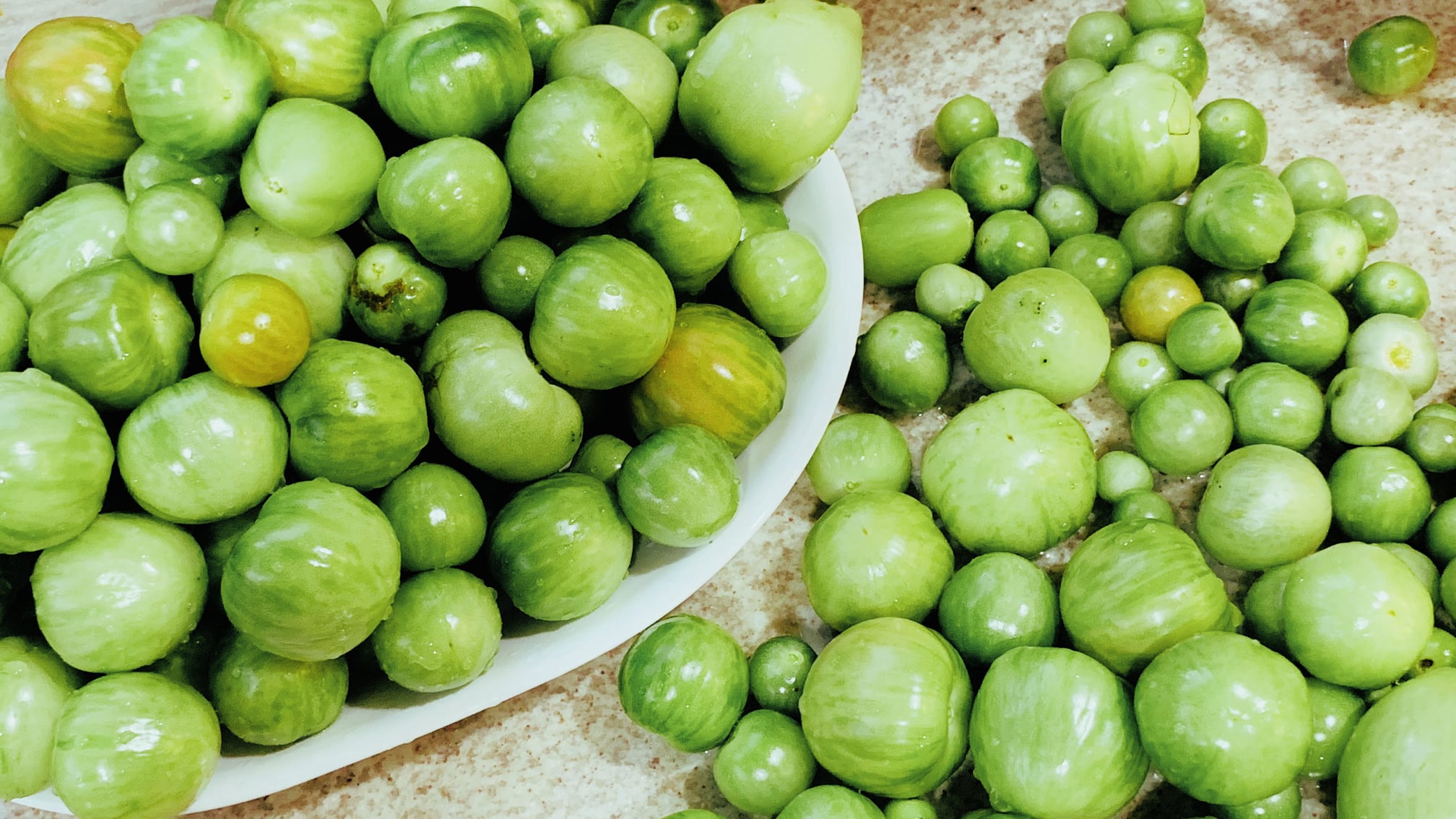 Green Tomatoes