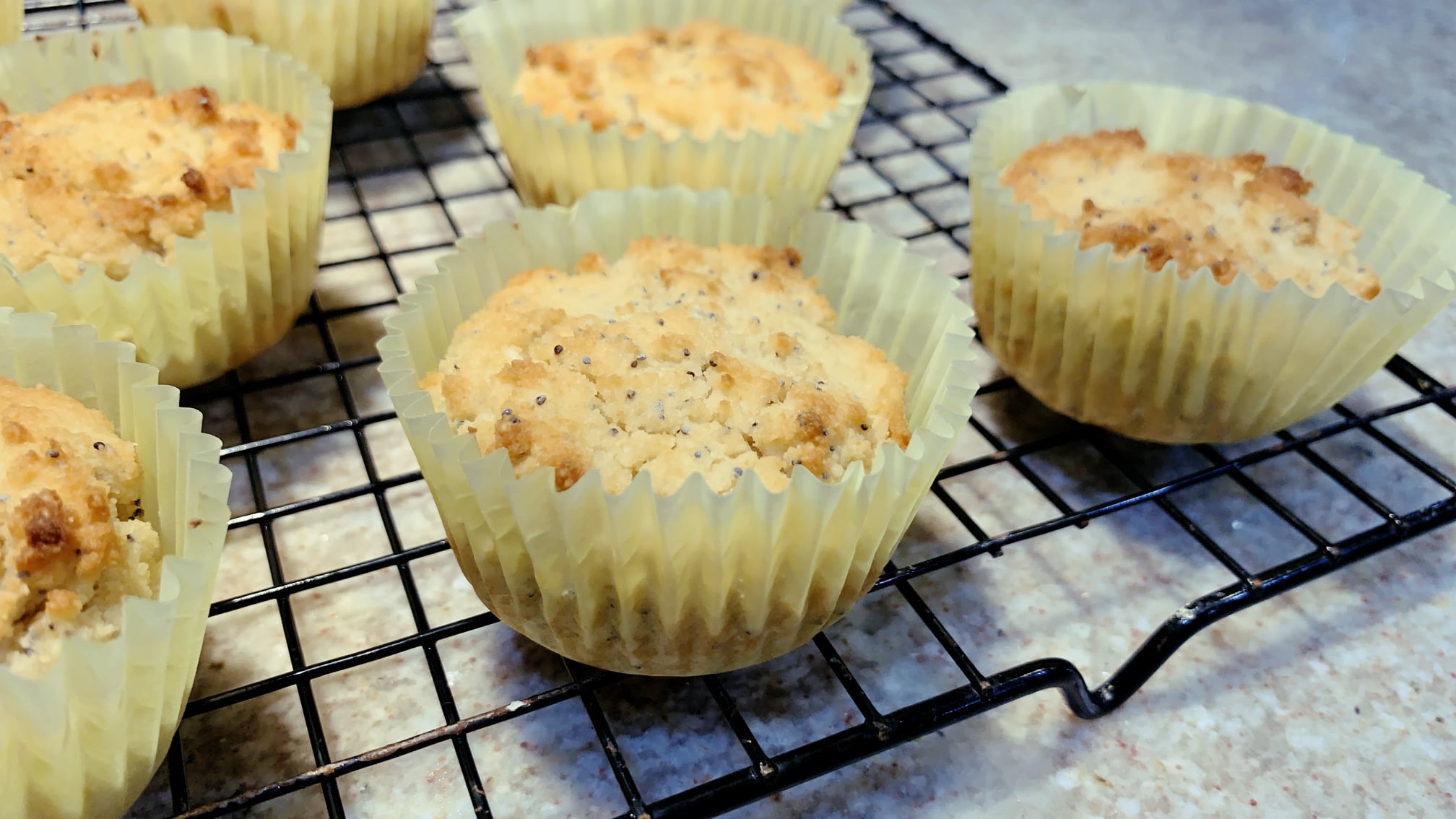 Low Carb Almond Poppy Seed Muffins