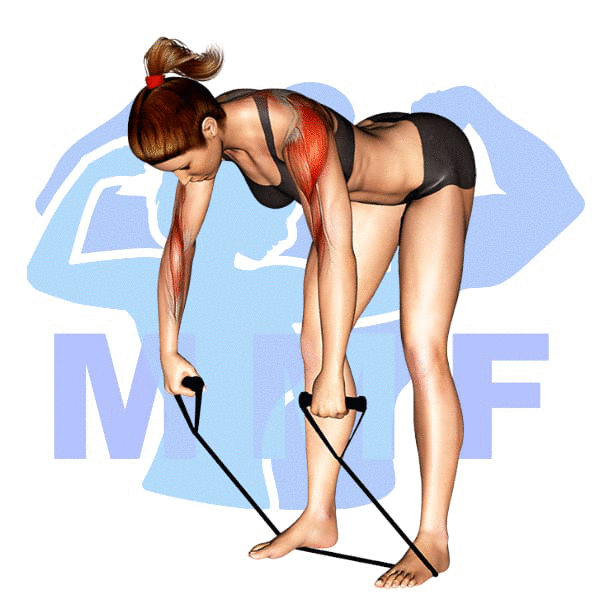 Woman performing resistance band bent over shoulder rows with MuscleMagFitness logo background.