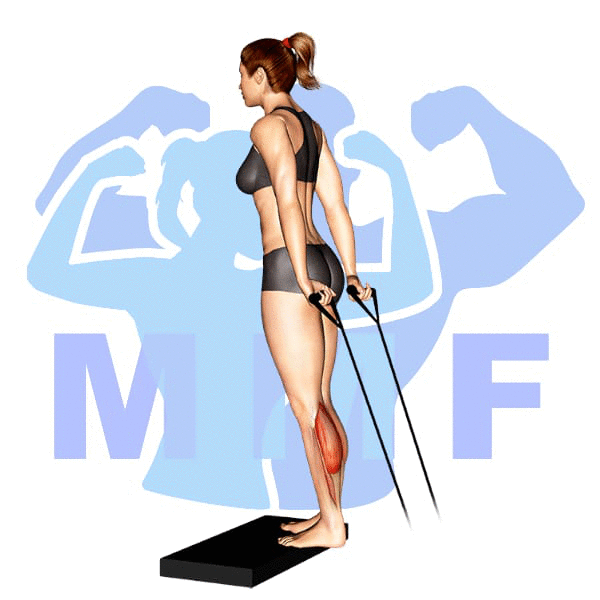 Woman performing resistance band calf raises with MuscleMagFitness logo background.