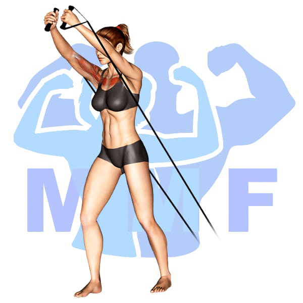 Woman performing resistance band low chest flys with MuscleMagFitness logo background.