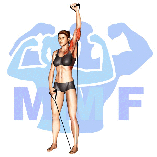 Graphic image of a fit woman performing alternate cable triceps extensions.