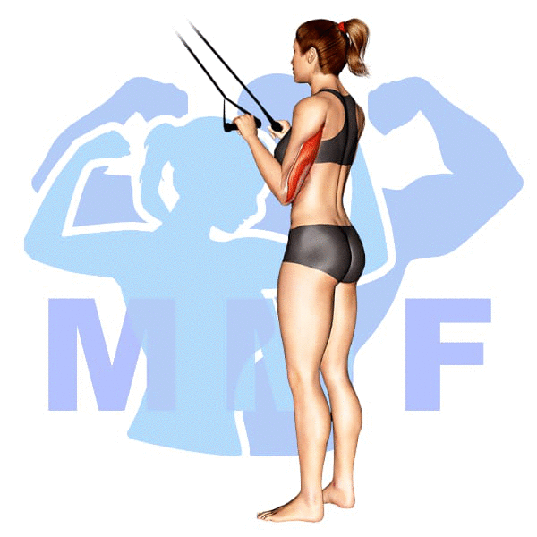 Woman performing resistance band push downs with MuscleMagFitness logo background.