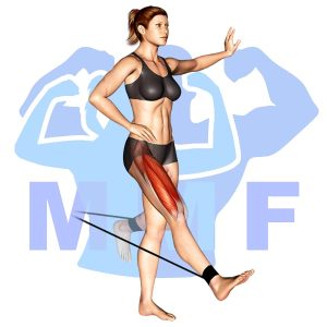 Graphic image of Resistance Band Single Leg Extensions.