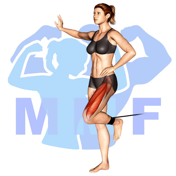 Woman performing resistance band single leg extensions with MuscleMagFitness logo background.