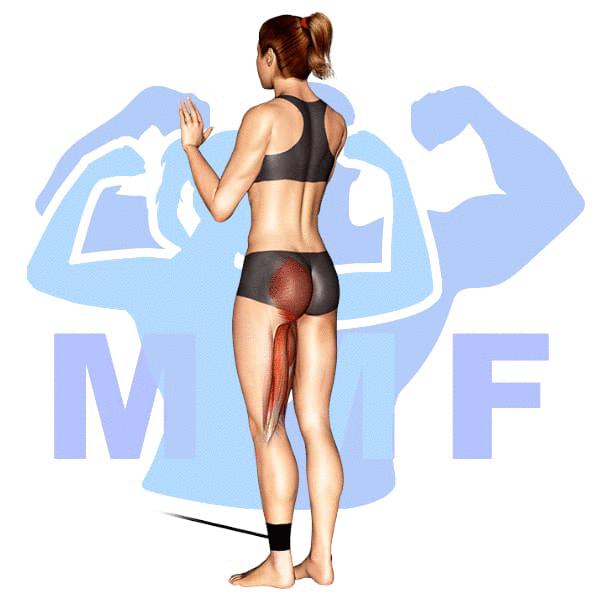 Graphic image of a fit woman performing alternate cable triceps extensions.