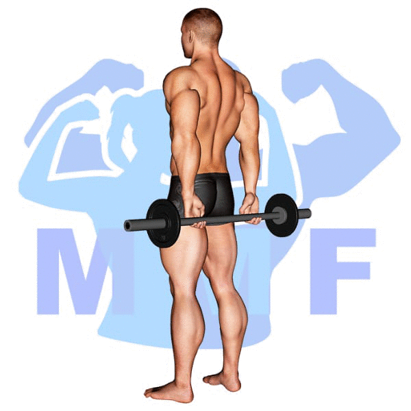 Barbell Behind Finger Curl Exercise - Your How To Guide For A Stronger Grip