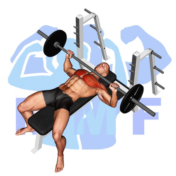 Barbell Bench Press Exercise - Easy To Follow Guide To Lifting More With Form