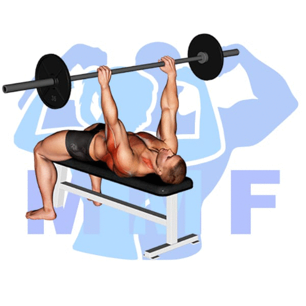 Barbell Bent Arm Pullover Exercise - For Stronger Lats And A Bigger Chest