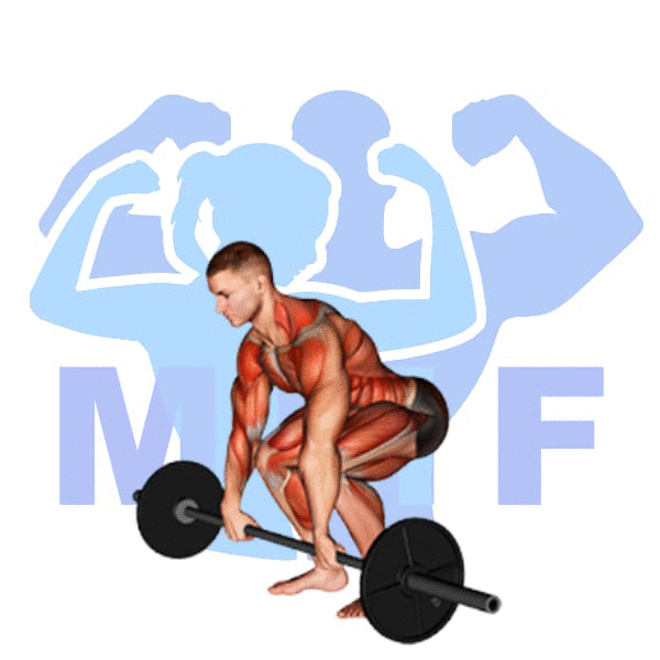 Barbell Clean Exercise - How To Develop Power And Strength With One Exercise