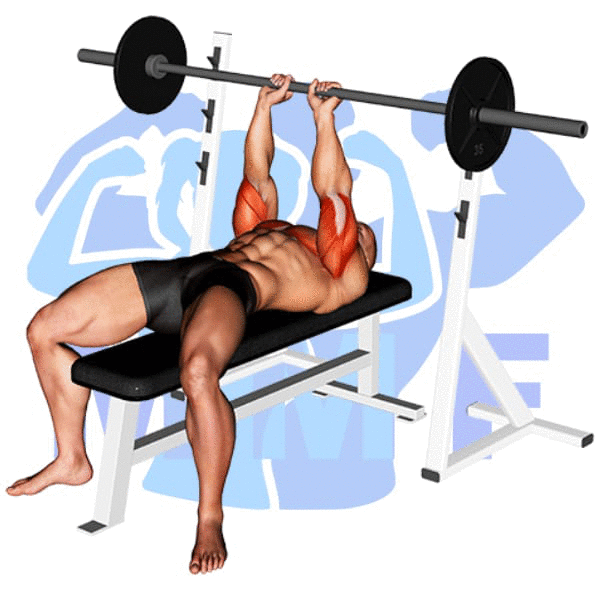Barbell Close Grip Bench Press Exercise - Your Guide To Building Your Triceps