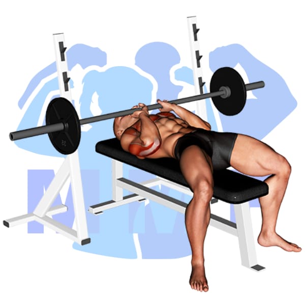 Barbell Close Grip Bench Press Exercise - Your Guide To Building Your Triceps