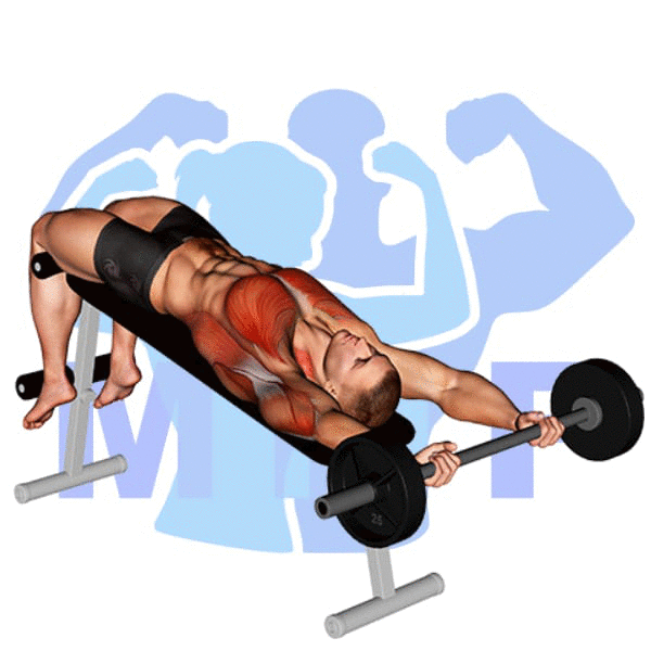 Barbell Decline Pullover Exercise - Your How To Guide To Proper Form