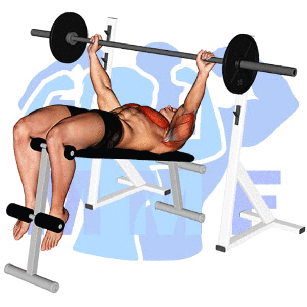 Graphic image of a fit man performing alternate cable triceps extensions.