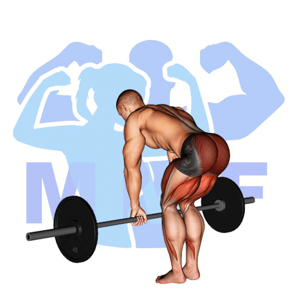 Barbell Dimmel Deadlift Will Help You Develop Power And Speed