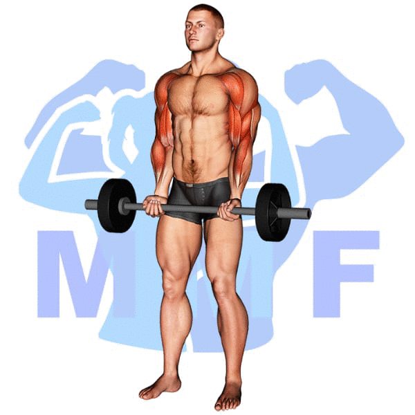 Barbell Drag Curl To Isolate Your Biceps For Even More Of A Pump