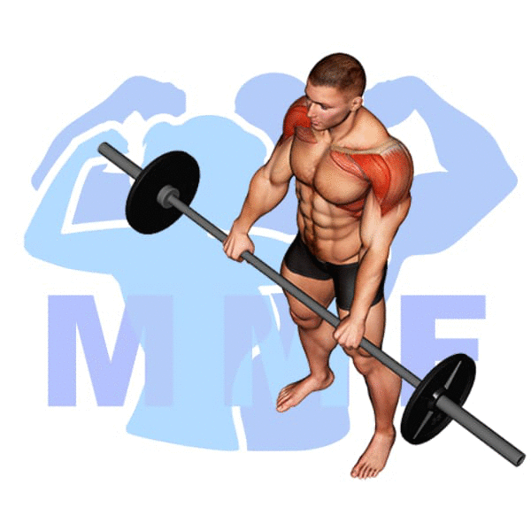 Barbell Front Raise Exercise - Your Guide To Safely Building Strong Shoulders