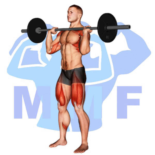Barbell Front Squat Clean Grip Exercise - Improve Your Form, Strength And Power