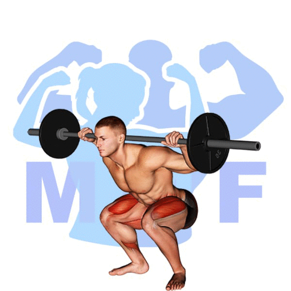 Barbell Full Squat Exercise - Quick Guide For Proper Form And Safety