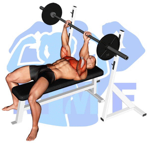 Barbell Guillotine Bench Press Exercise - Your Quick How To Guide