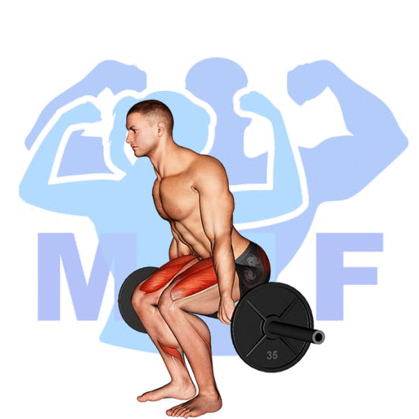 Barbell Hack Squat Exercise - Your Guide How to Perform Them Properly