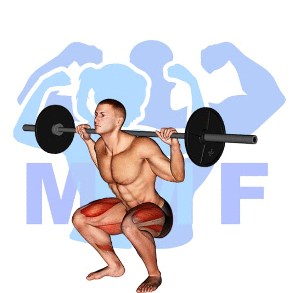 Barbell High Bar Squat Exercise - Your Quick Guide To Proper Form