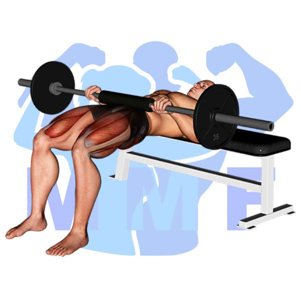 Barbell Hip Thrust Exercise - Quick Guide For Good Form And Tips