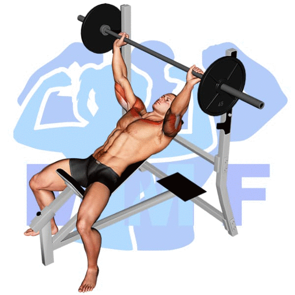 Barbell Incline Bench Press Exercise - A Go To Exercise To A Bigger Chest