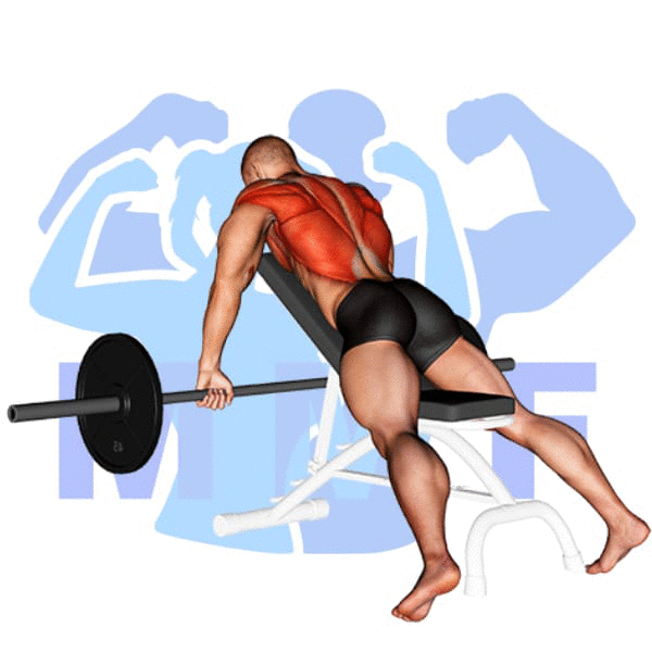 Barbell Incline Row Exercise - Quick Guide To Proper Form And Tips