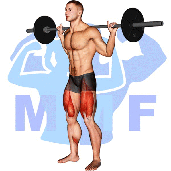 Barbell Low Bar Squat Exercise - Your Quick Guide To Proper From