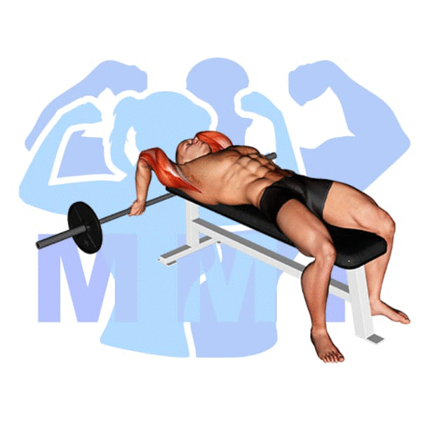 Barbell Lying Triceps Extension Exercise - Quick Exercise Tutorial