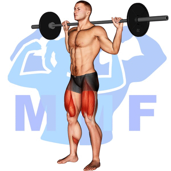 Barbell Narrow Squat Exercise - Your Easy Guide To Optimal Form And Tips