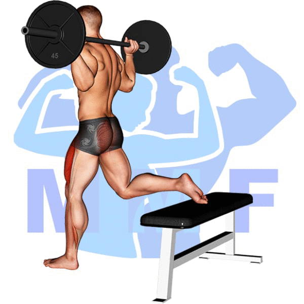 Barbell One Leg Squat Exercise - Simple Guidelines For Building Your Quads