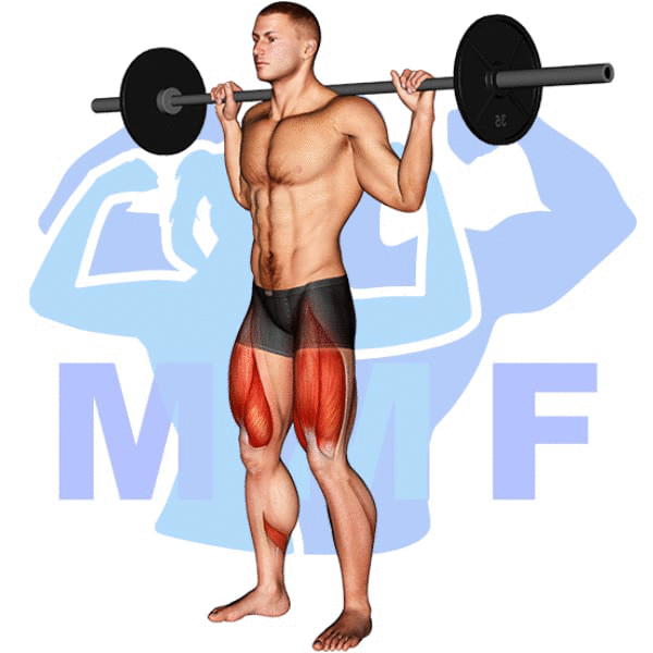 Barbell Quarter Squat Exercise - Your Effective Guide To Improving Your Squats