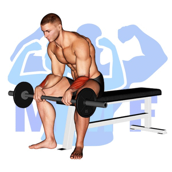 Barbell Reverse Wrist Curl Exercise - An Easy Exercise For Developing Forearms