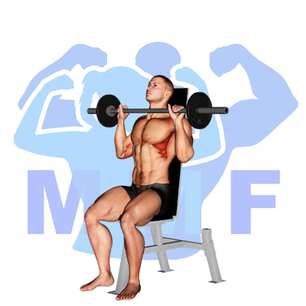 Barbell Seated Shoulder Press Exercise - Great Compound Shoulder Exercise