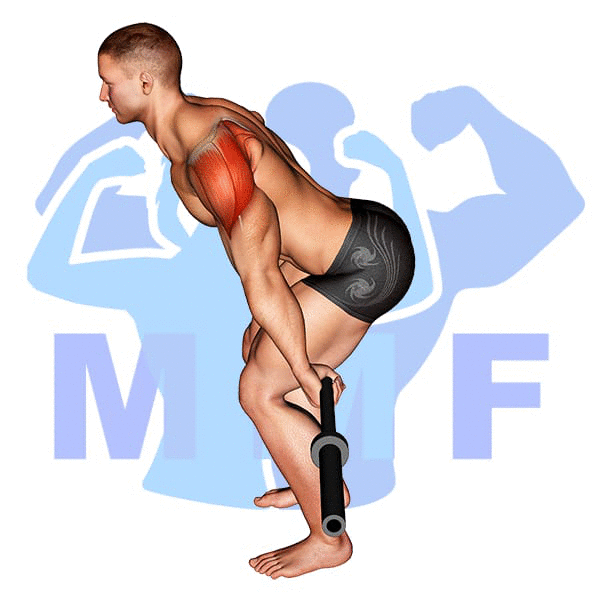 Barbell Skier Exercise - Simple Exercise Guide To Build Strong Arms