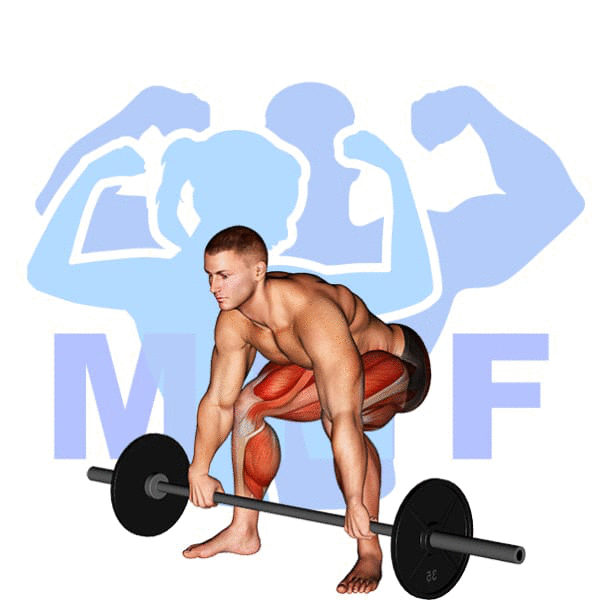 Barbell Snatch Deadlift Exercise - Building Your Lift Off Power And Form