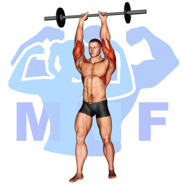 Barbell Standing Close Grip Military Press Exercise - Easy How To Guide