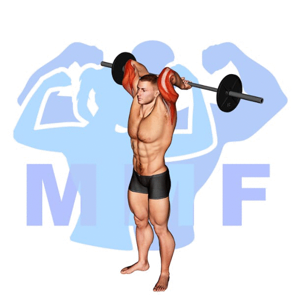 Barbell Standing Overhead Triceps Extension Exercise - How To Exercise Guide