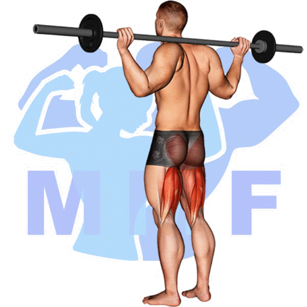 Barbell Stiff Leg Good Morning Exercise - Easy Guide To Strong Lower Back