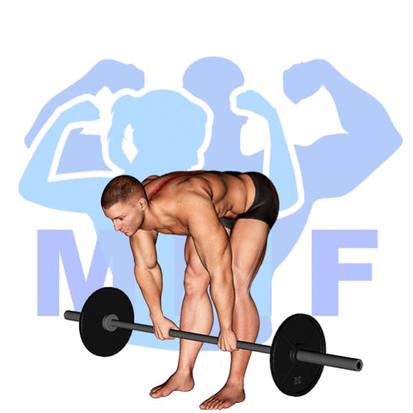 Barbell Stiff Legged Deadlift Exercise - Quick And Easy Exercise Tutorial