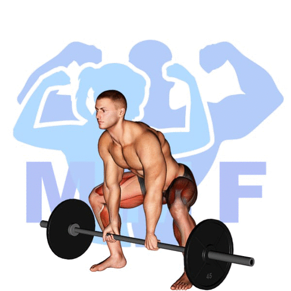 Barbell Sumo Deadlift Exercise - Your Quick Guide To Good Form With Tips