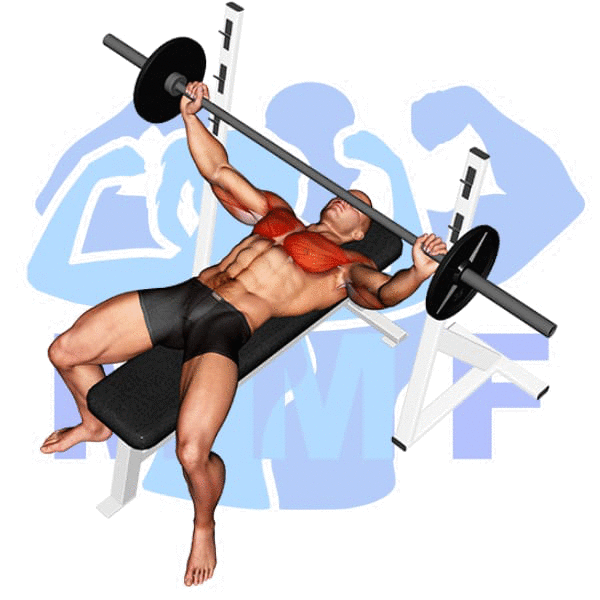 Barbell Wide Bench Press Exercise - How To Develop A Strong Wide Chest