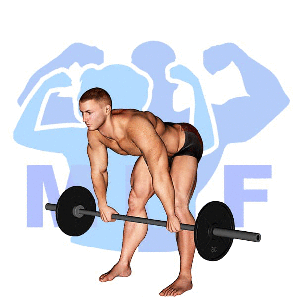 Barbell Wide Stance Stiff Leg Deadlift Exercise - Simple Exercise Tutorial