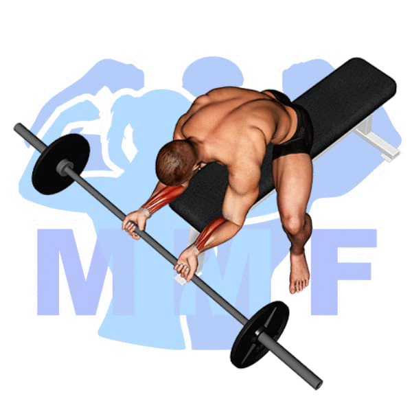 Barbell Wrist Curl Exercise - Easy Exercise For Building Strong Forearms