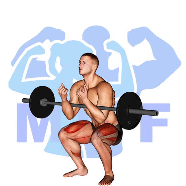 Barbell Zercher Squat Exercise - A Unique Hold For Building Stronger Legs