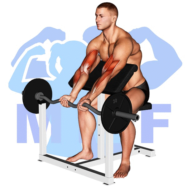 EZ Bar Preacher Curl Exercise - A Must Do Bicep Exercise For Big Arms