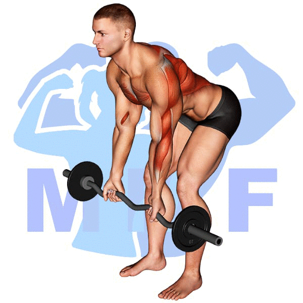 Graphic image of a fit man performing alternate cable triceps extensions.