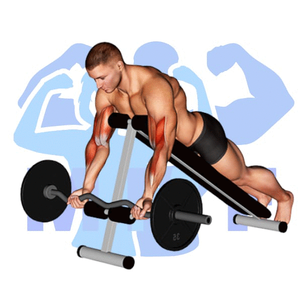 EZ Bar Spider Curl Exercise - An Unconventional Exercise To Build Biceps